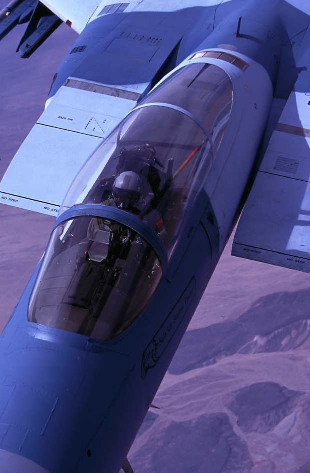 F-15C 65th Aggressor Flanker - Wall Pilot