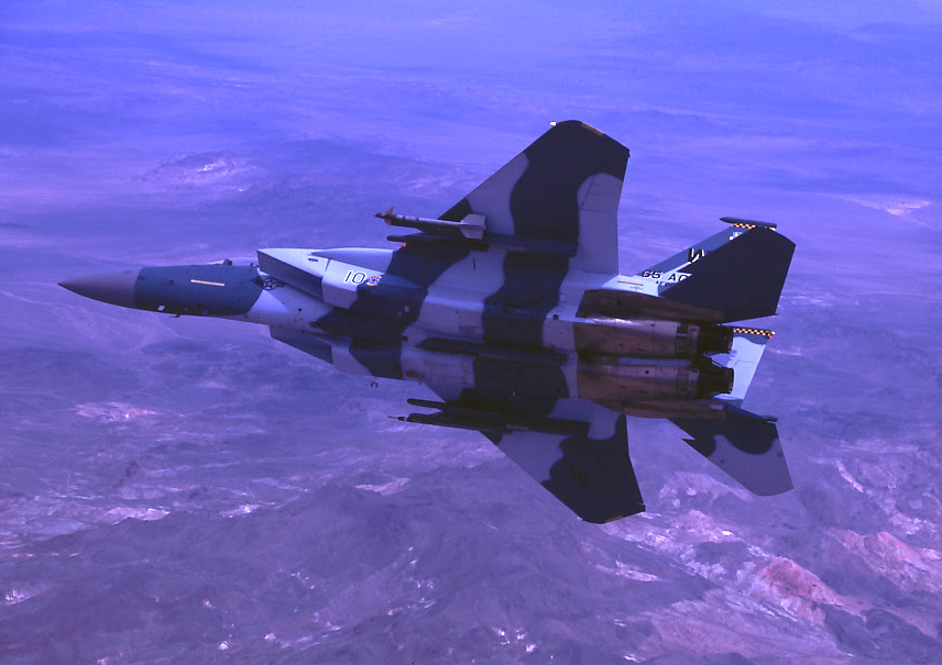 F-15C 65th Aggressor Flanker - Wall Pilot